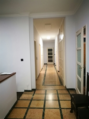 Photogallery 1